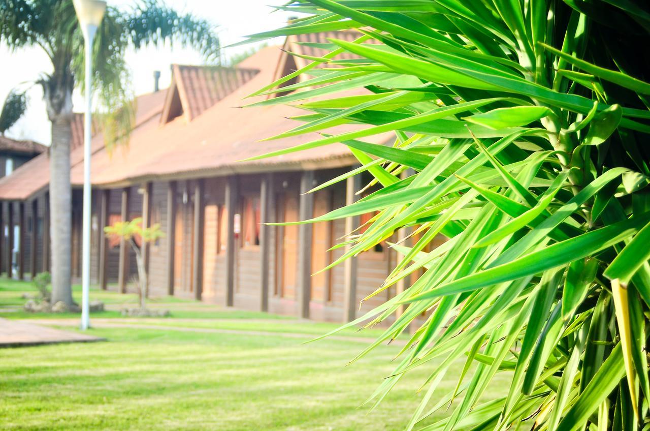 Hotel Termal Dayman Termas del Daymán Exterior foto